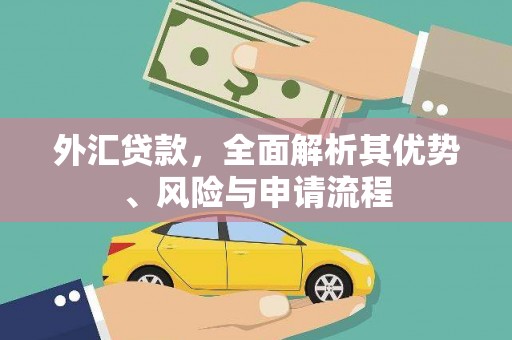 利州外汇贷款，全面解析其优势、风险与申请流程