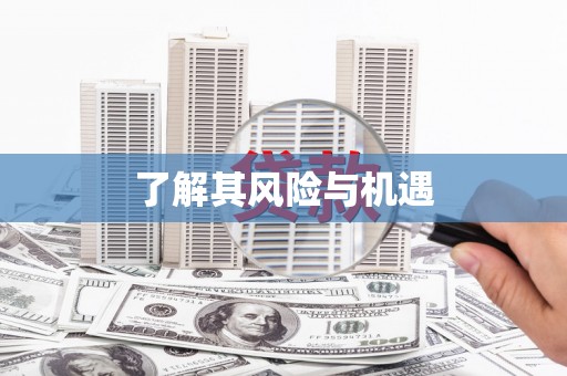 利州了解其风险与机遇