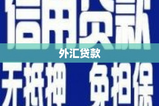 利州外汇贷款