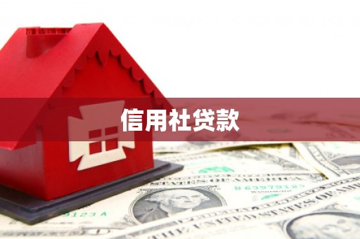 利州信用社贷款