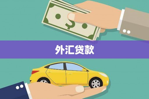 利州外汇贷款