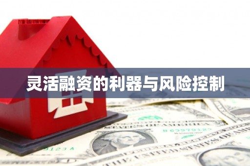 利州灵活融资的利器与风险控制