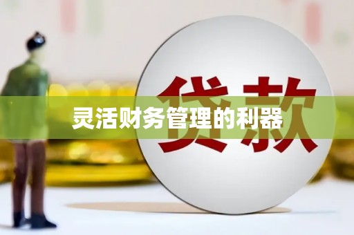 利州灵活财务管理的利器