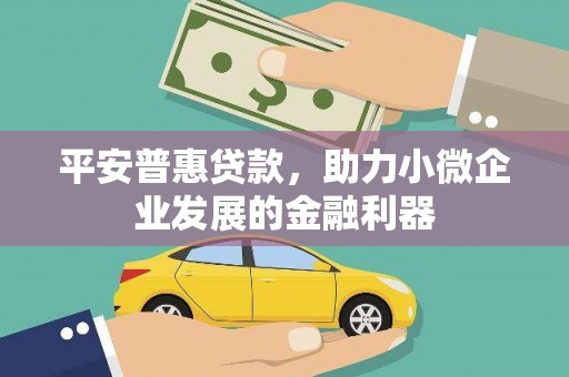 利州平安普惠贷款，助力小微企业发展的金融利器