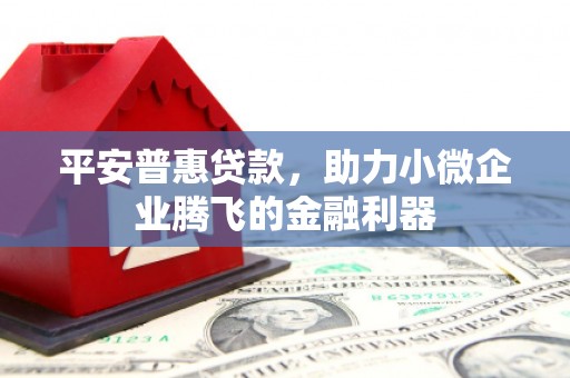 利州平安普惠贷款，助力小微企业腾飞的金融利器
