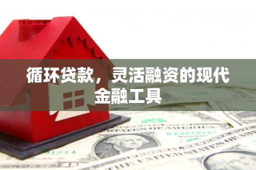 利州循环贷款，灵活融资的现代金融工具