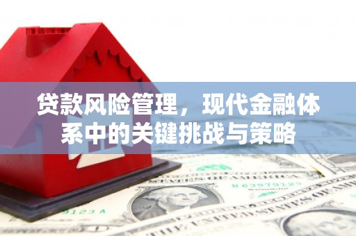利州贷款风险管理，现代金融体系中的关键挑战与策略