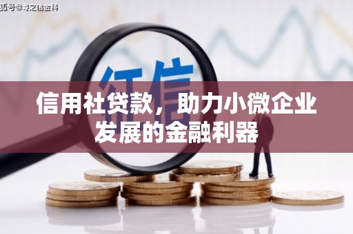 利州信用社贷款，助力小微企业发展的金融利器