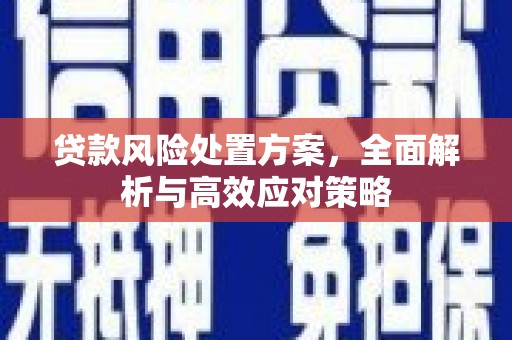 利州贷款风险处置方案，全面解析与高效应对策略