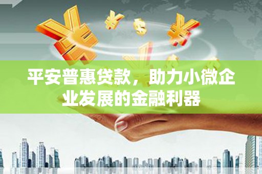 利州平安普惠贷款，助力小微企业发展的金融利器