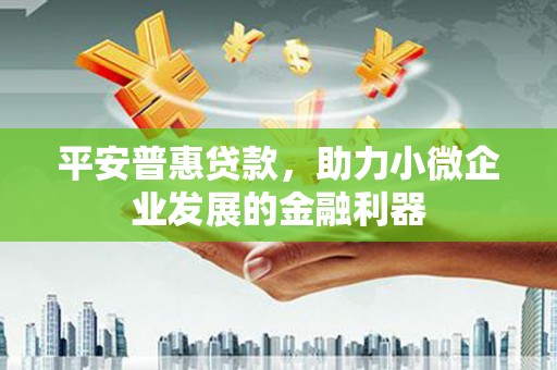 利州平安普惠贷款，助力小微企业发展的金融利器
