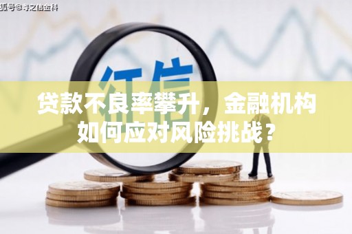 利州贷款不良率攀升，金融机构如何应对风险挑战？