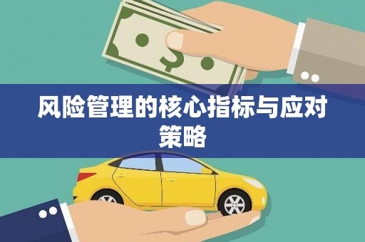利州风险管理的核心指标与应对策略