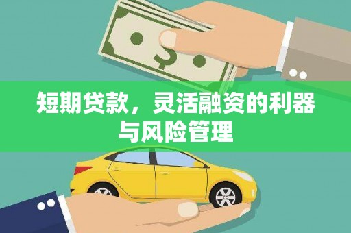利州短期贷款，灵活融资的利器与风险管理