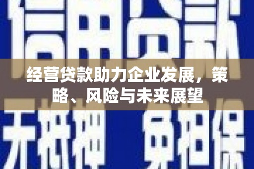 利州经营贷款助力企业发展，策略、风险与未来展望