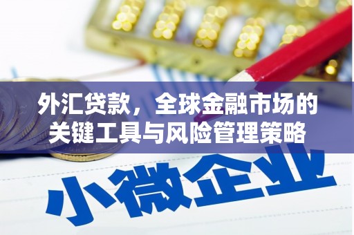 利州外汇贷款，全球金融市场的关键工具与风险管理策略
