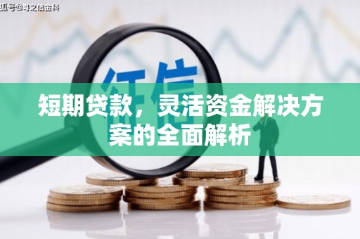 利州短期贷款，灵活资金解决方案的全面解析