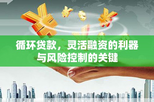 利州循环贷款，灵活融资的利器与风险控制的关键
