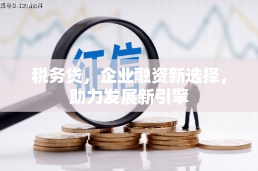 利州税务贷，企业融资新选择，助力发展新引擎