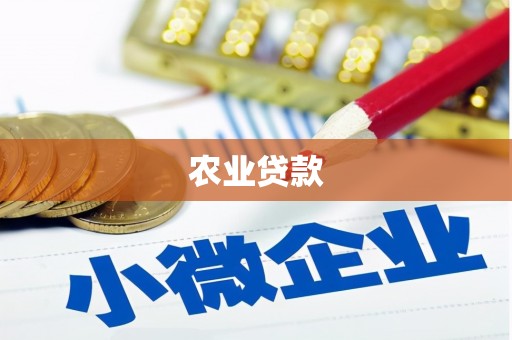 利州农业贷款
