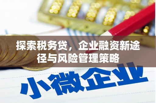 利州探索税务贷，企业融资新途径与风险管理策略