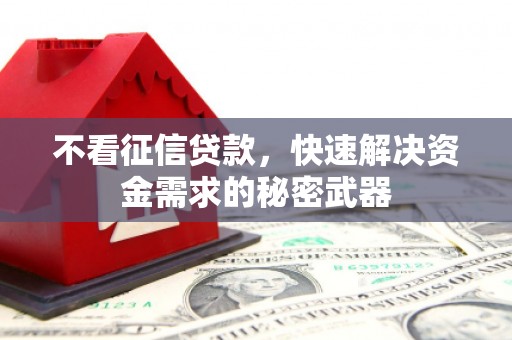 利州不看征信贷款，快速解决资金需求的秘密武器