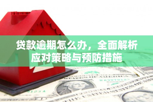 利州贷款逾期怎么办，全面解析应对策略与预防措施