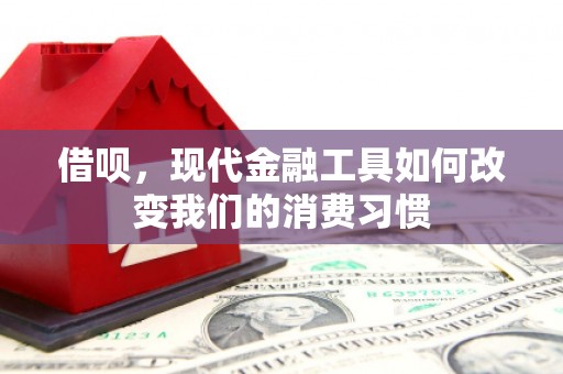 利州借呗，现代金融工具如何改变我们的消费习惯