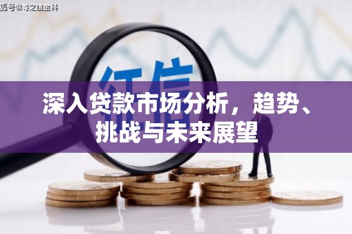 利州深入贷款市场分析，趋势、挑战与未来展望