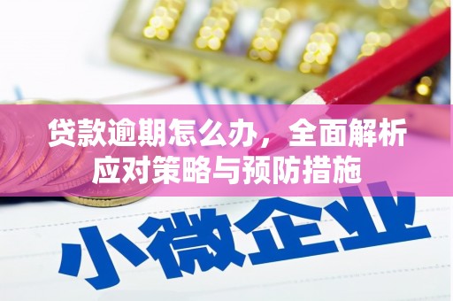 利州贷款逾期怎么办，全面解析应对策略与预防措施