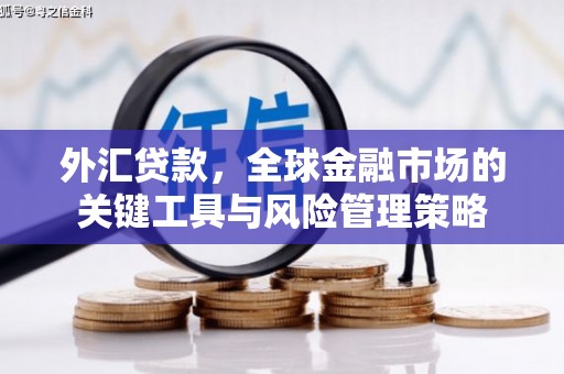 利州外汇贷款，全球金融市场的关键工具与风险管理策略