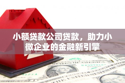 利州小额贷款公司贷款，助力小微企业的金融新引擎