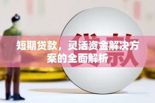 利州短期贷款，灵活资金解决方案的全面解析