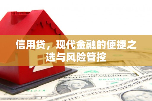 利州信用贷，现代金融的便捷之选与风险管控