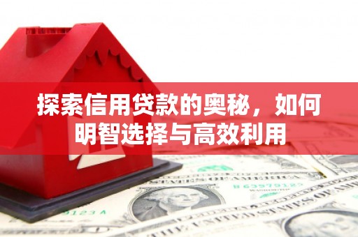 利州探索信用贷款的奥秘，如何明智选择与高效利用