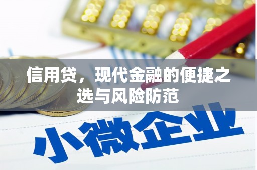 利州信用贷，现代金融的便捷之选与风险防范