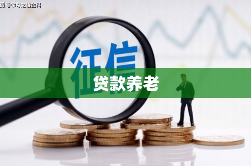利州贷款养老