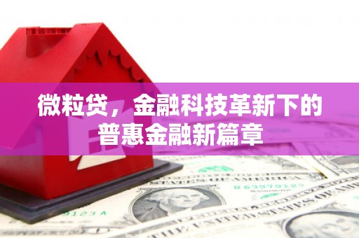 利州微粒贷，金融科技革新下的普惠金融新篇章