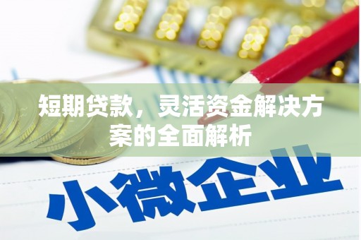 利州短期贷款，灵活资金解决方案的全面解析