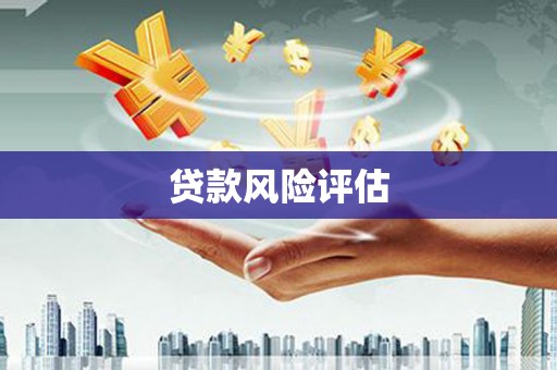 利州贷款风险评估