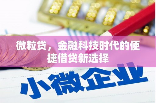 利州微粒贷，金融科技时代的便捷借贷新选择