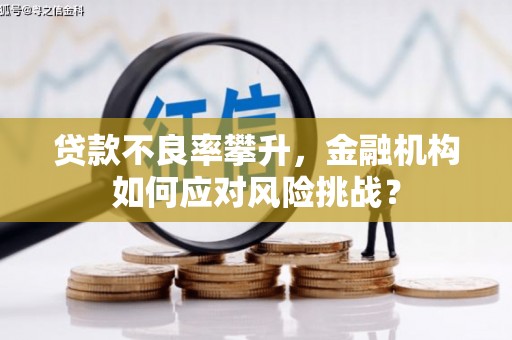利州贷款不良率攀升，金融机构如何应对风险挑战？