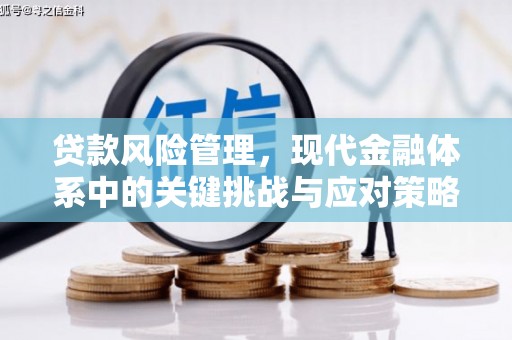 利州贷款风险管理，现代金融体系中的关键挑战与应对策略