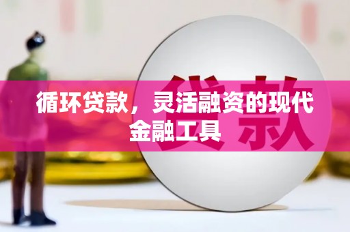 利州循环贷款，灵活融资的现代金融工具