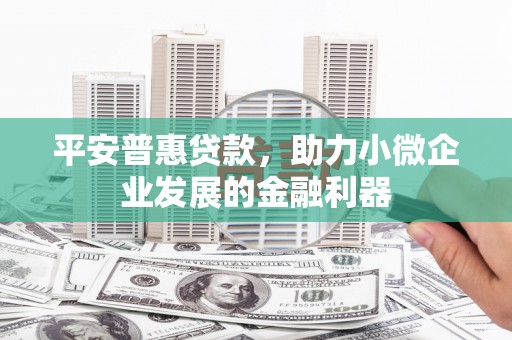 利州平安普惠贷款，助力小微企业发展的金融利器