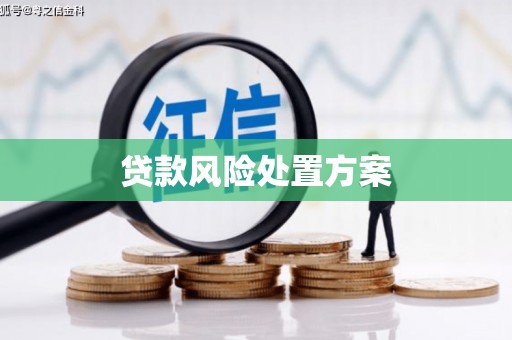 利州贷款风险处置方案