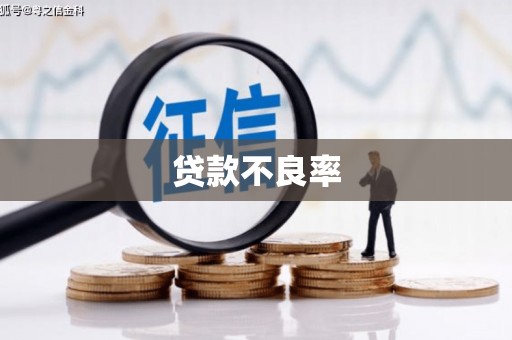 利州贷款不良率