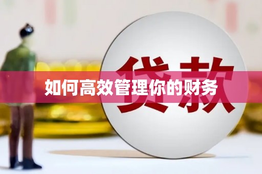 利州如何高效管理你的财务