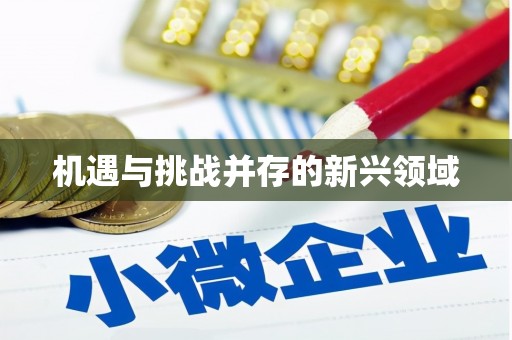 利州机遇与挑战并存的新兴领域