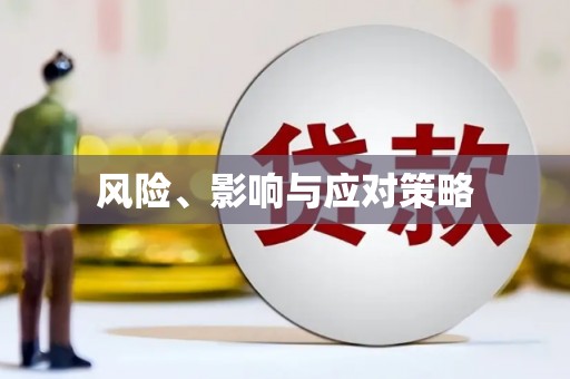 利州风险、影响与应对策略